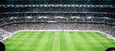 一群身穿AC米兰球衣的球迷在看台上共同庆祝进球，气氛热烈