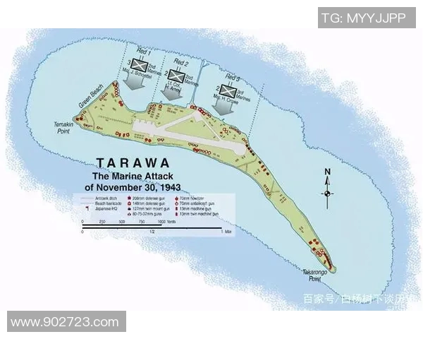 广州排球队战术解析与对比深度剖析球队表现与战术选择