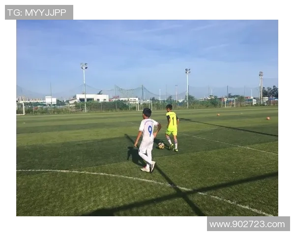 刘静深度解析足球技巧与战术分享，助你提升球场表现与理解